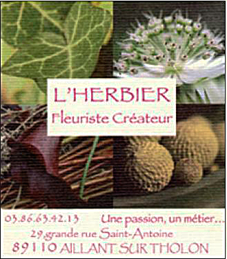 HERBIER